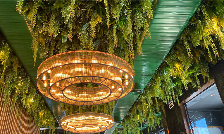 Yapay Bonsai’den Sarkıt Yeşilliğe: Saksılı Bitkilerle Stil Yaratmak