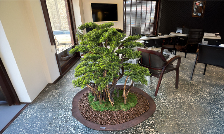 Bonsai Ağaçlarıyla Mekânlarda Doğal Bir Atmosfer Yaratmak