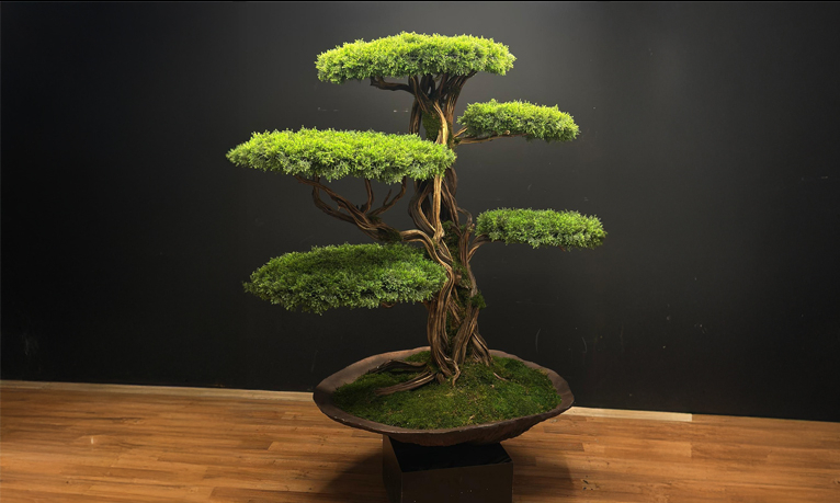 Bonsai Ağaçlarıyla Küçük Alanlarda Büyük Bir Görsel Etki Yaratmak